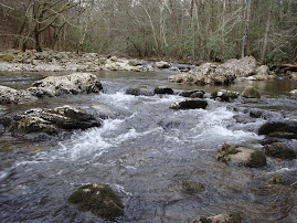 West Prong of Little Pigeon River