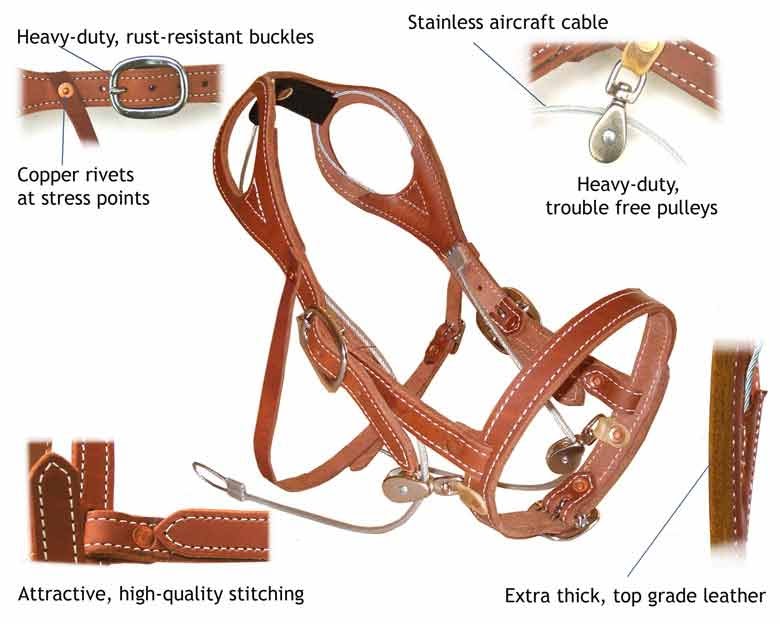 Tacky Tack of the Day Stupid, Cruel Training Device