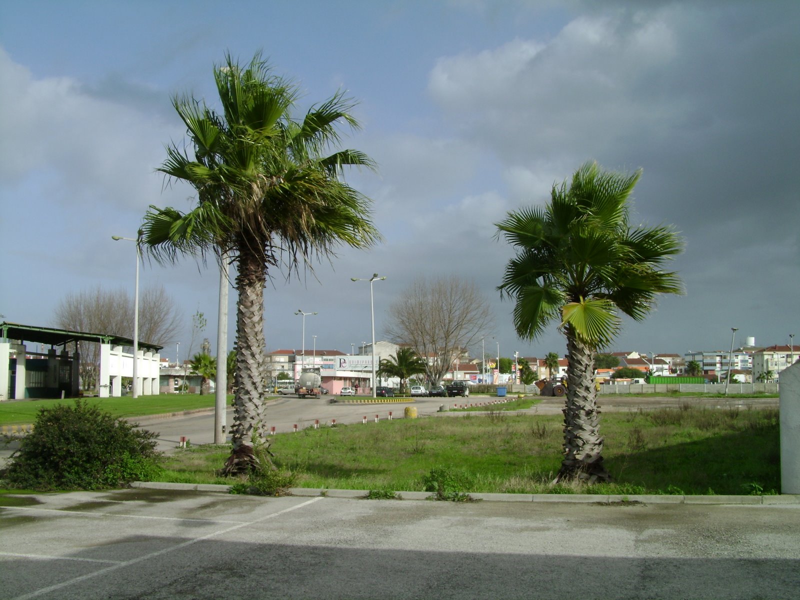 [DSC00588.JPG]