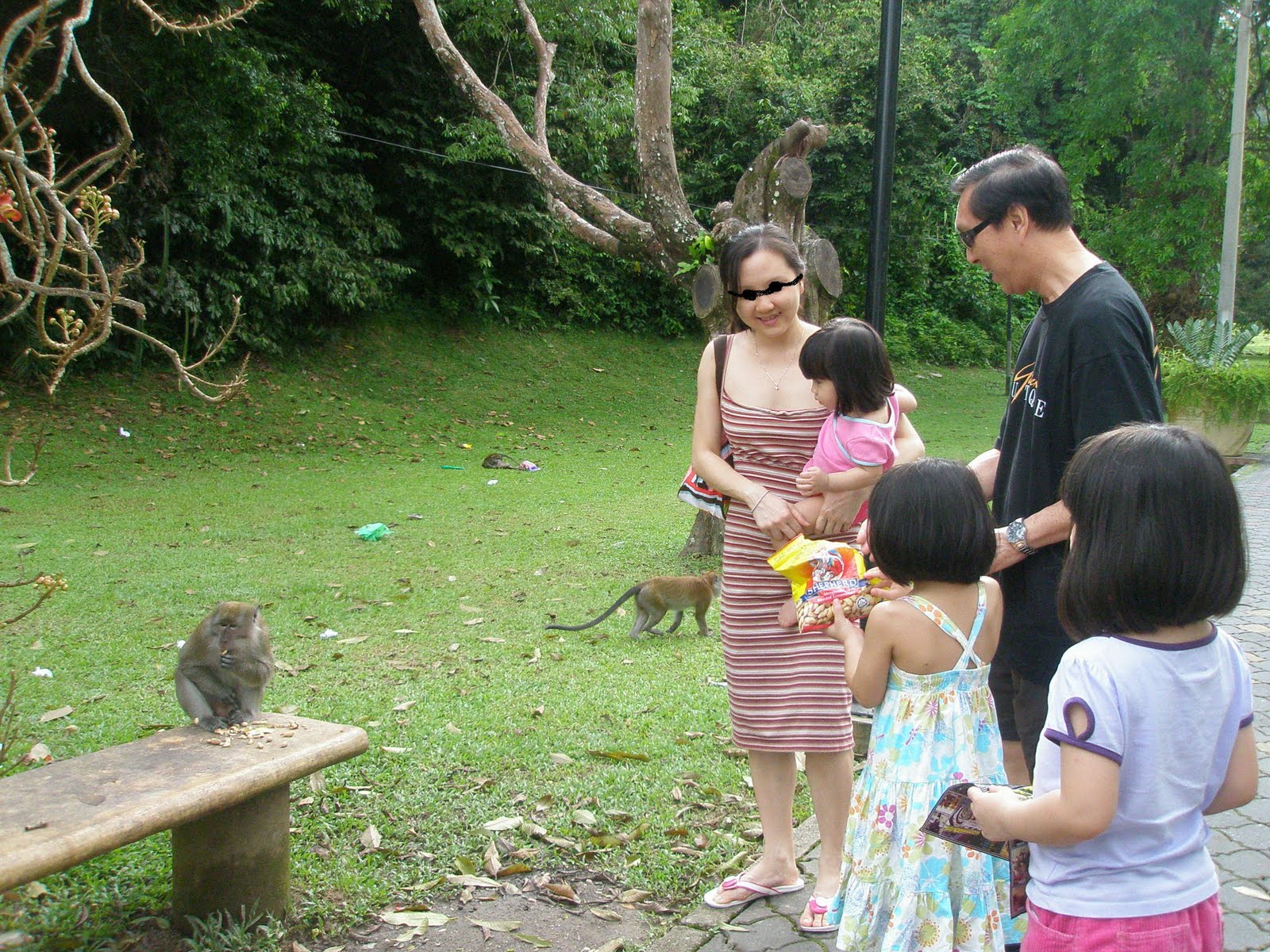 [seeing+monkeys.JPG]