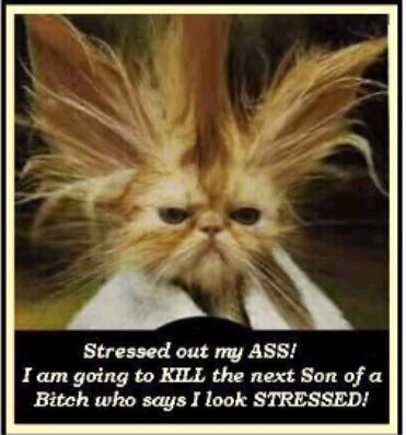 [stressed.jpg]