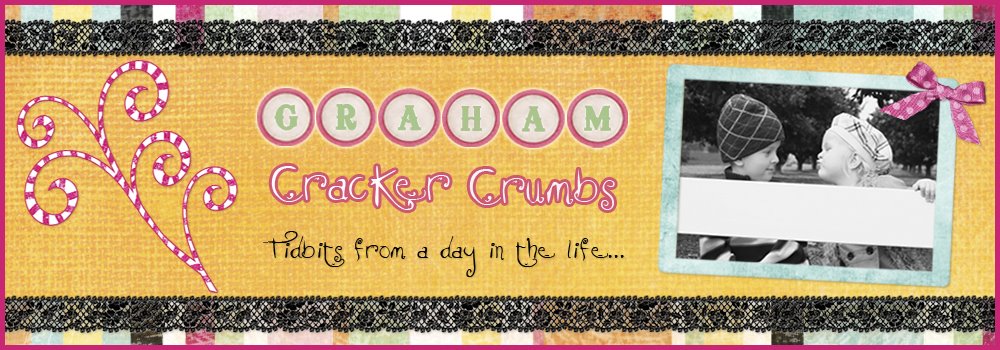 Graham Cracker Crumbs