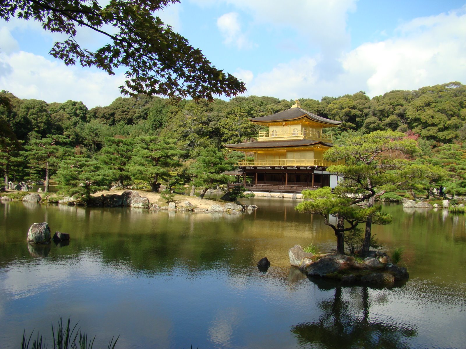 [DSC01903.JPG]