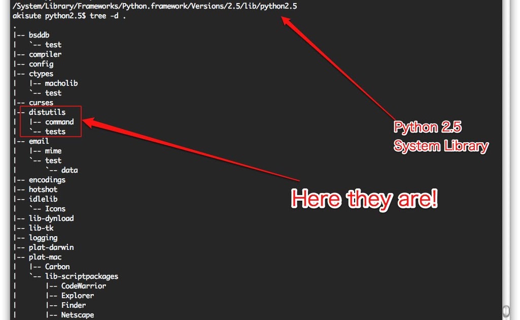  Apple、Snow Leopard ビルド 10A402 を開発者にプッシュ