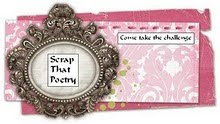 Scrap that poetry Design Team Member