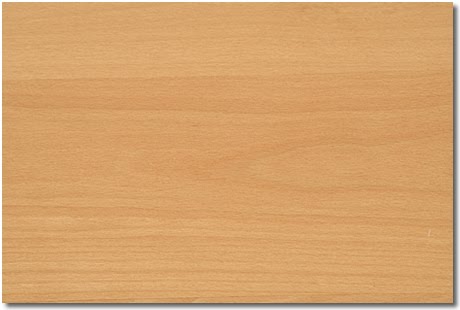 Fionda In Legno Di Faggio Naturale Con Elastico: Per Caccia E Sport All'Aperto