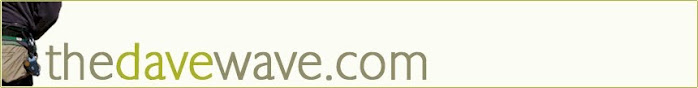 thedavewave.com