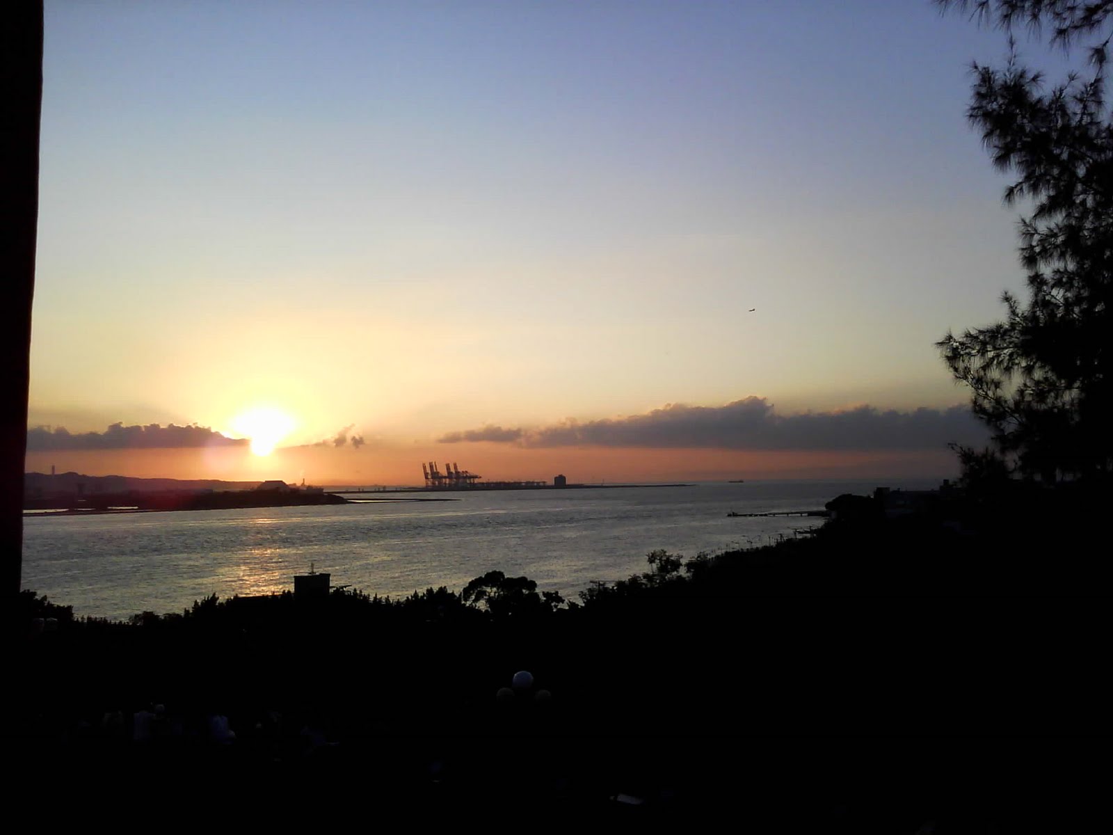 [Camera_20100109_171208.jpg]