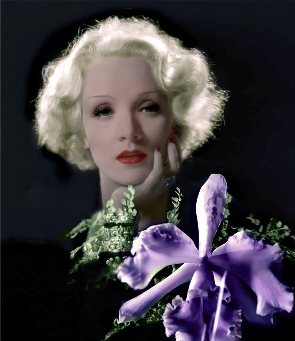 [MarleneDietrich-1.jpg]