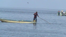 BAHIA DE PAREDON