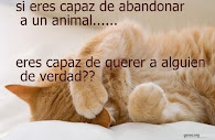 y tu? eres capaz?