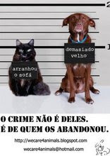 Não abandone o seu melhor Amigo!