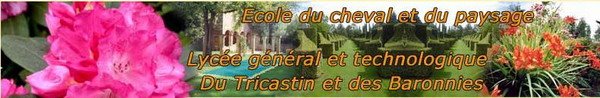 ecole-cheval-paysage
