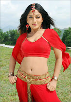 Sheela Hot Photos