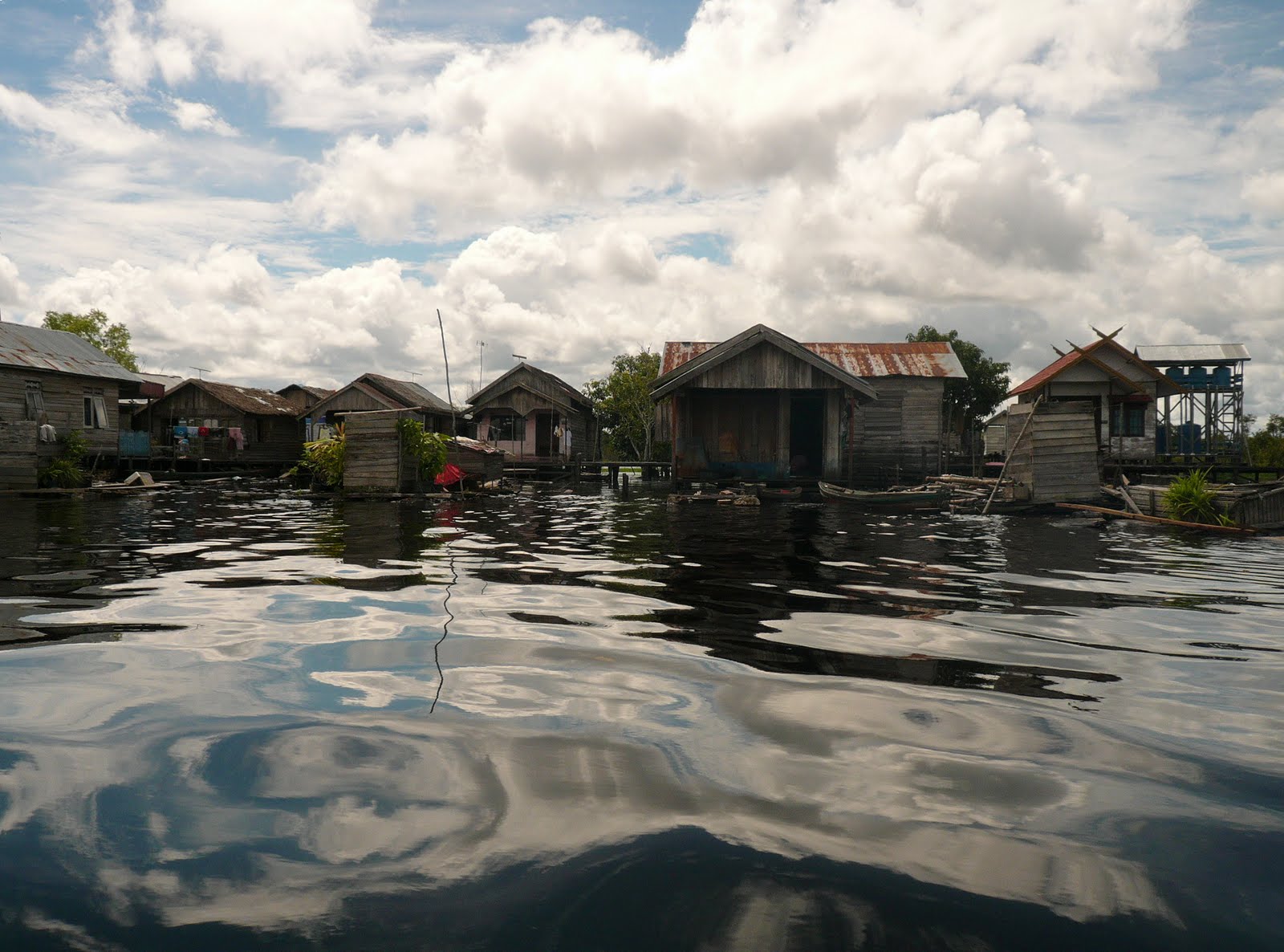 Watch Highly Commended: Floating life on river under pollution by Tapan Karmakar (India, 2019) video Watch Highly Commended: Floating life on river under pollution by Tapan Karmakar (India, 2019) video