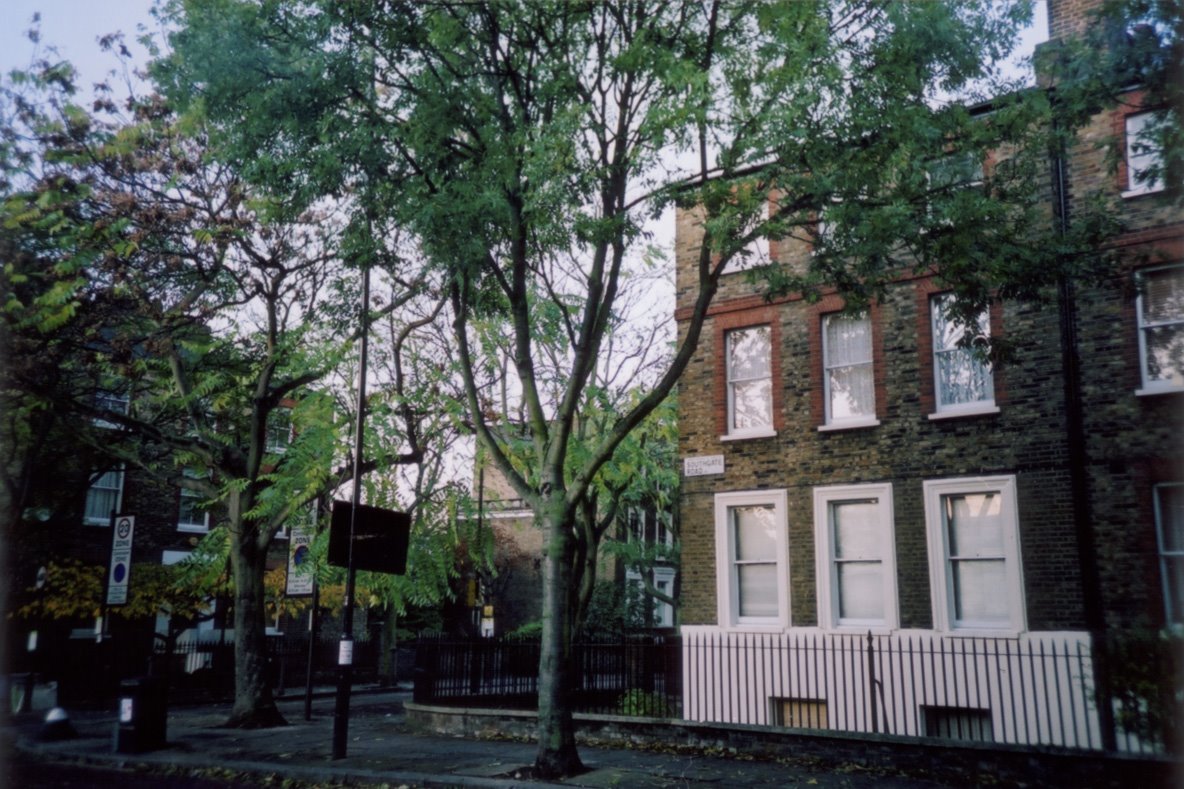 [southgate+road.jpg]