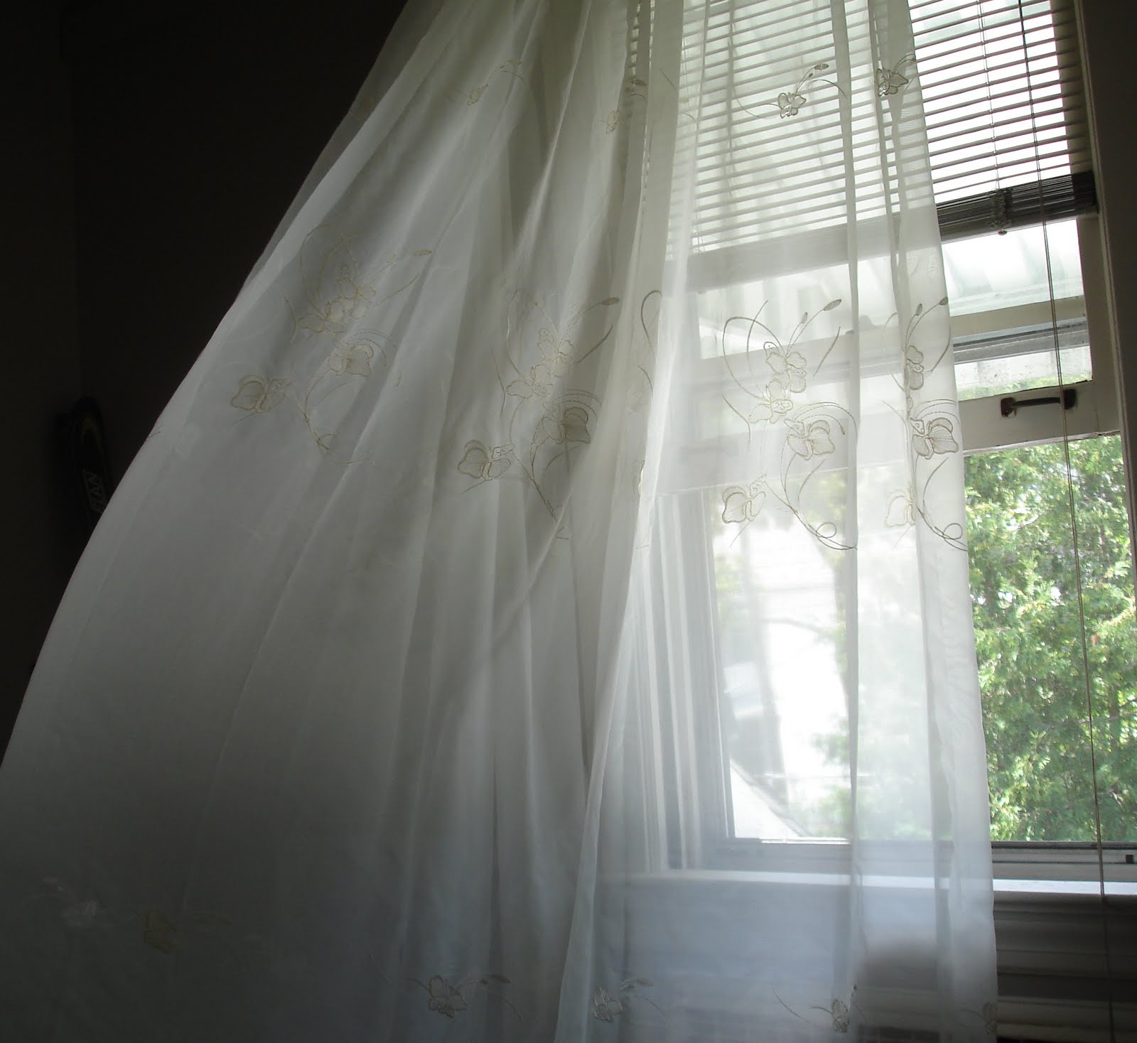 Calm Energy Beautiful Veils