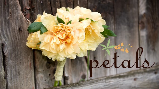 Petals Floral Design
