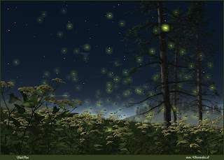 Robert Frost Poetry Project Ist 11 Fireflies In The Garden