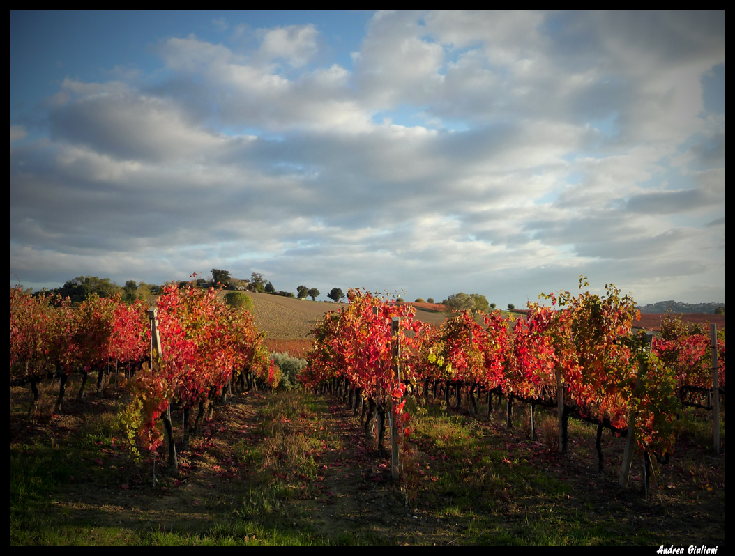 Racconti in luce: novembre 2010