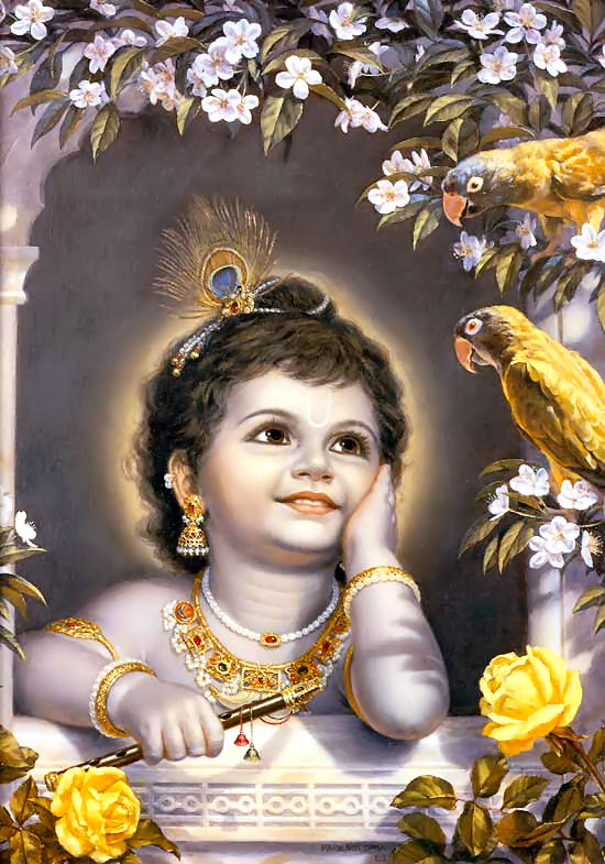 Baby Krishna [1998]