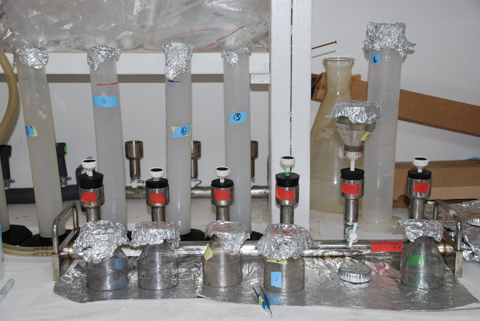 [lab+001.JPG]