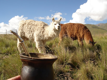 Un Mate entre Llamas