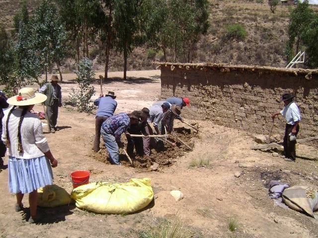 QUE ES LA IRPAKA EN BOLIVIA visual data 6