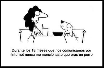 [MASCOTAS+POR+INTERNET.jpg]