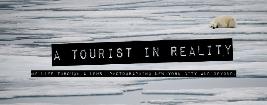 Tourist in Reality