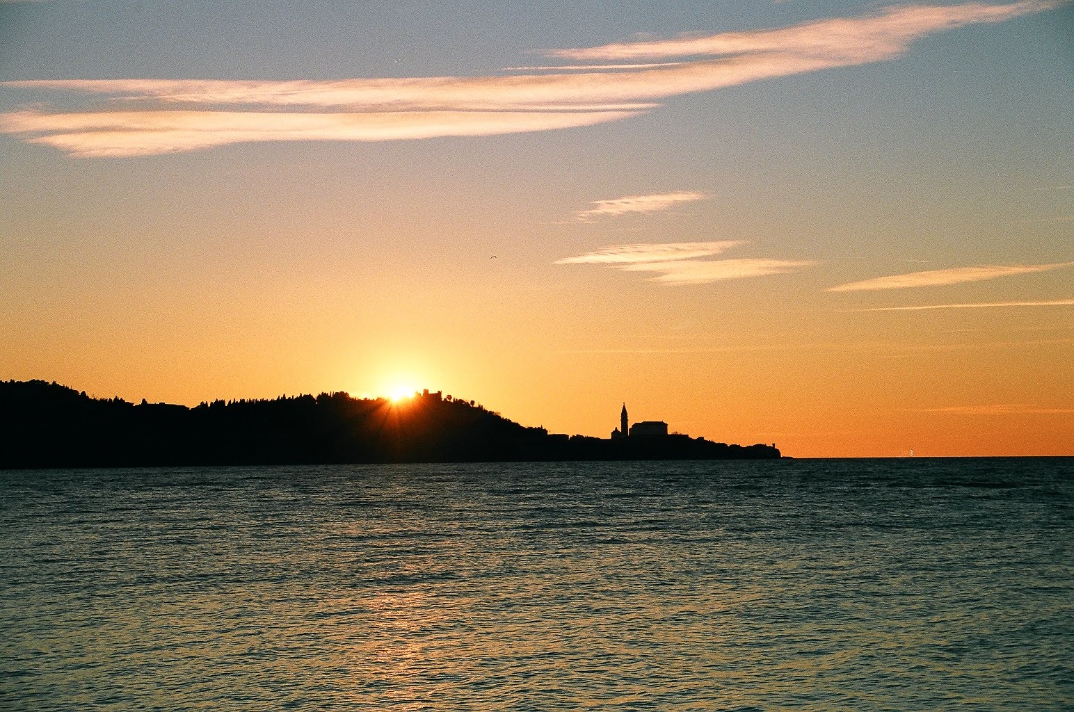 [59070017.JPG]