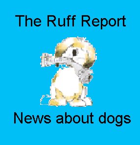 [bringing-newspaper3.bmp]
