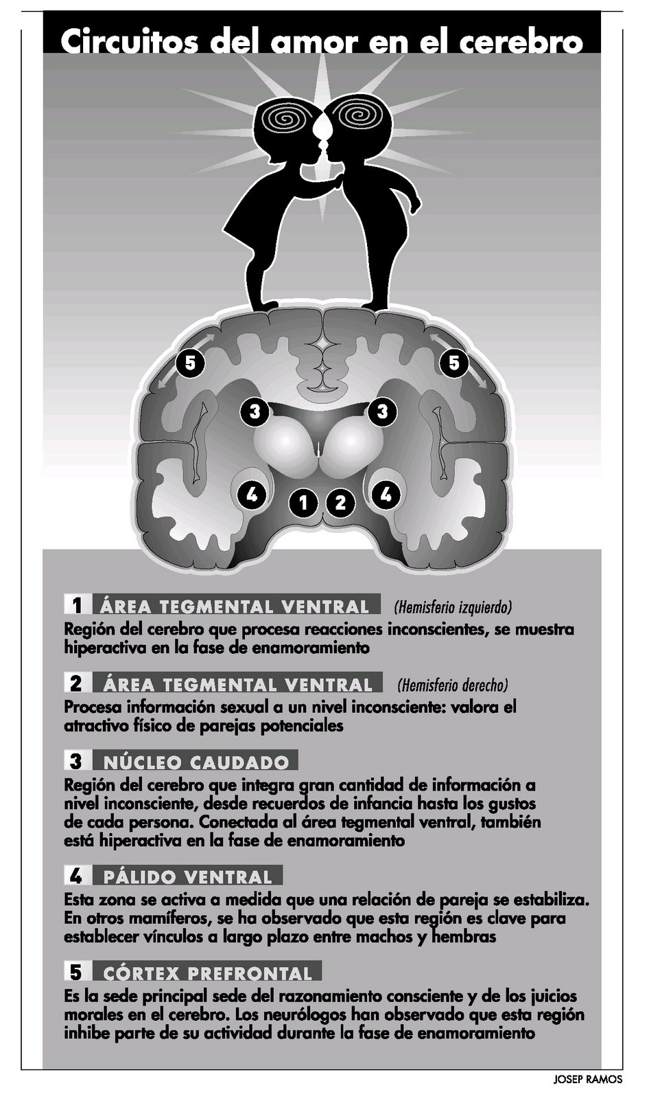 [circuitos+maor+cerebro.jpg]