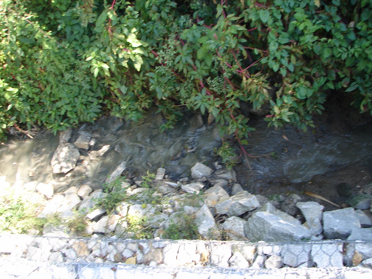 [DSC08351.JPG]