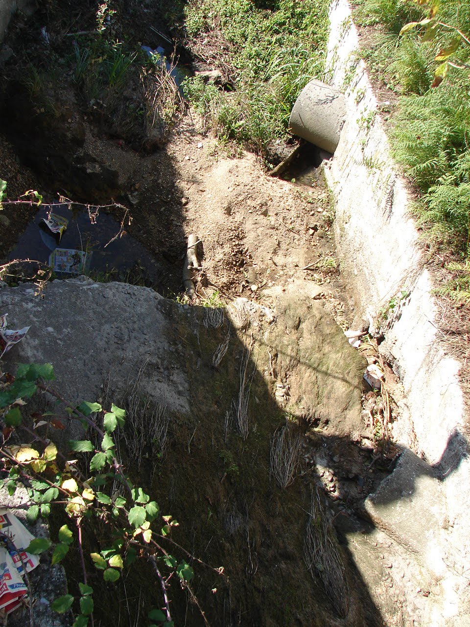 [DSC08368.JPG]