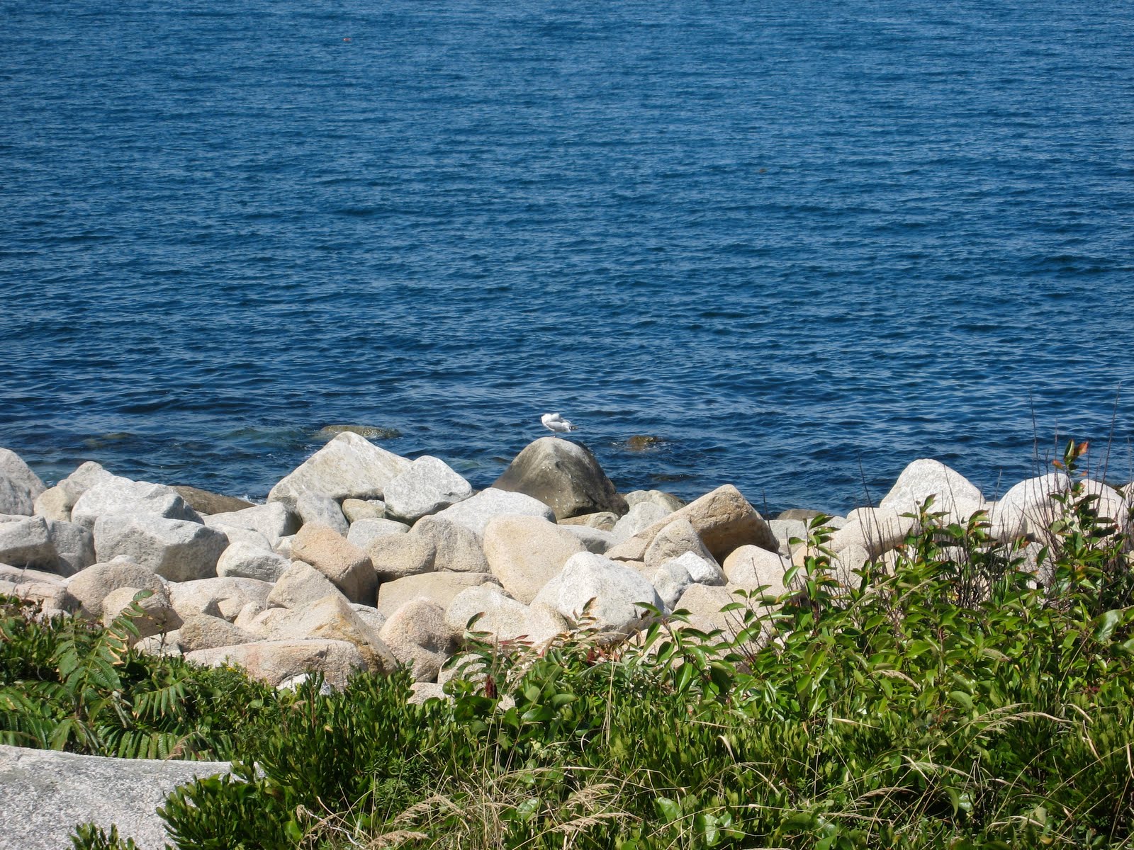 Voyages Halibut Point State Park, Rockport, MA September 6, 2010