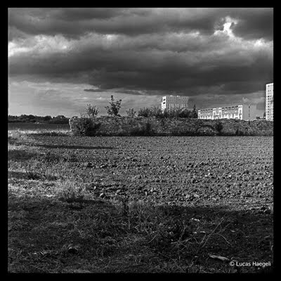 Les champs