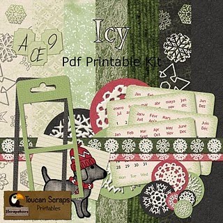 [ToucanS_Icy_pdfKit.jpg]