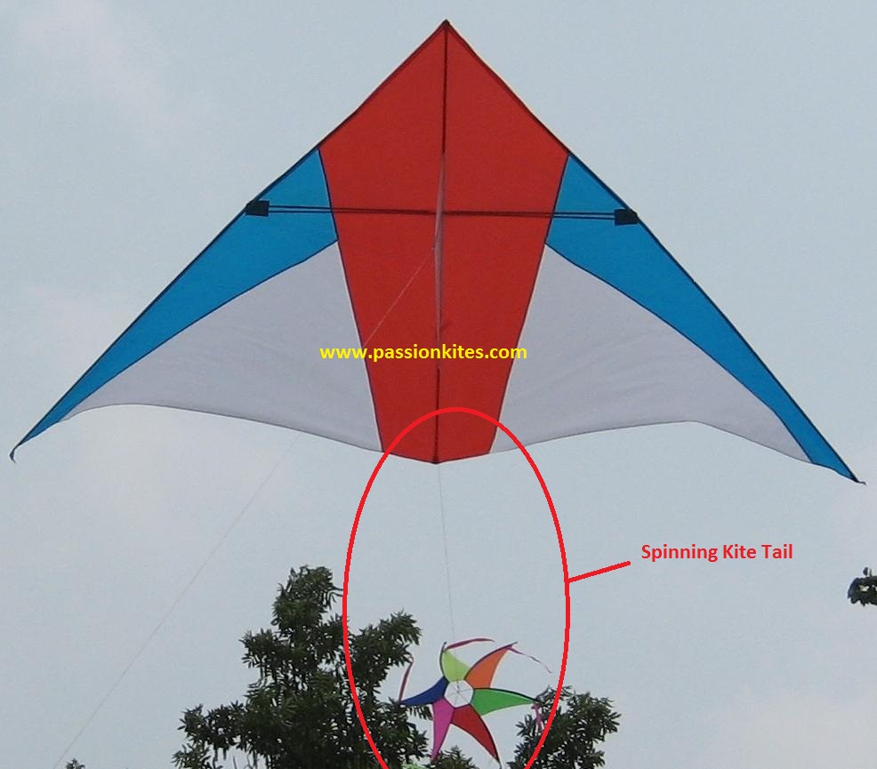 Buy Kites in Singapore Kite's Accessories Kite Tail & WindSock