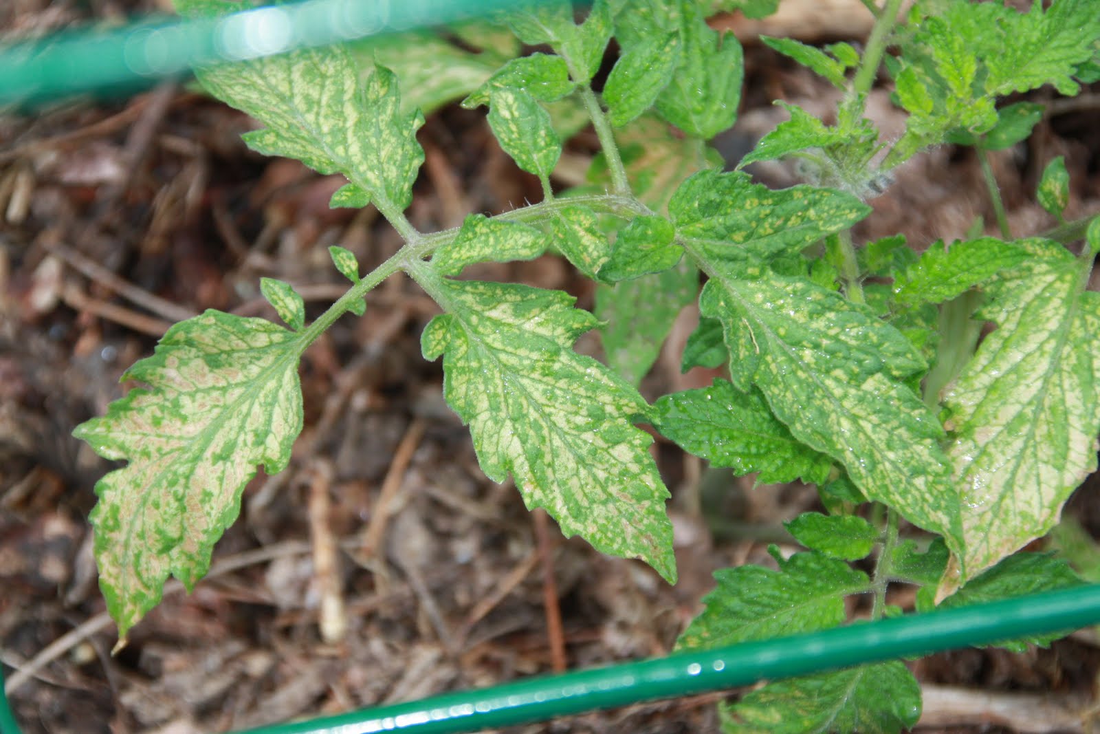 Ogden Botanical Gardens Answer What�s Wrong with this