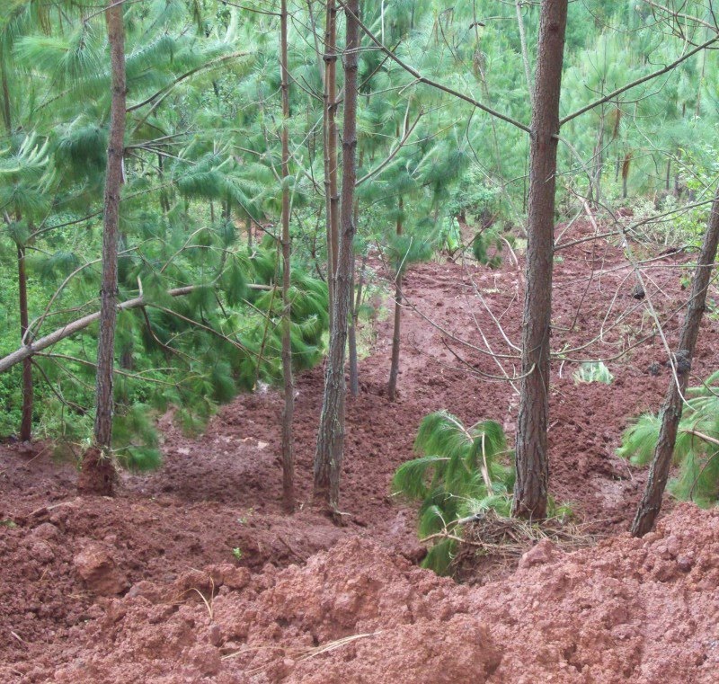 October 29, 2010 by admin