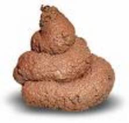 [bosta-large.jpg]