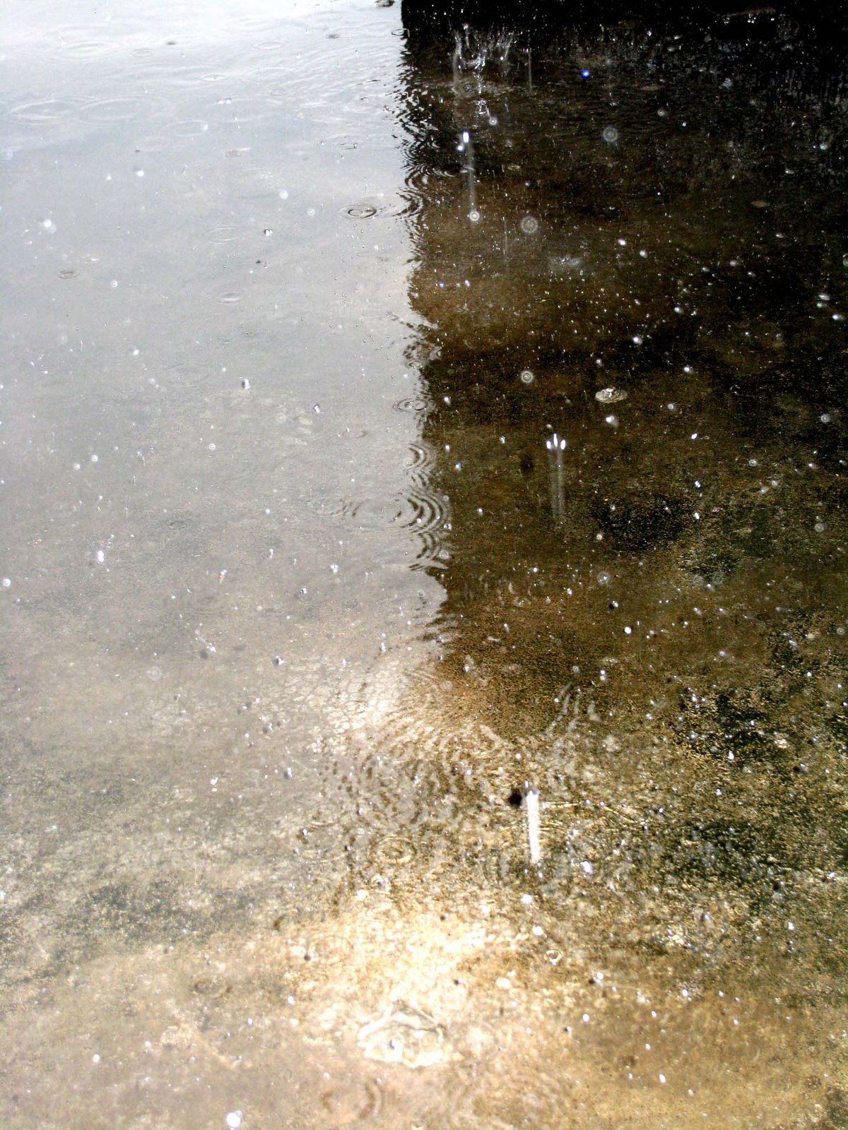 [IMG_0323.JPG]