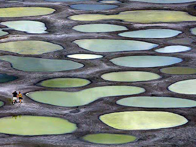 kliluk, spotted lake, kanada