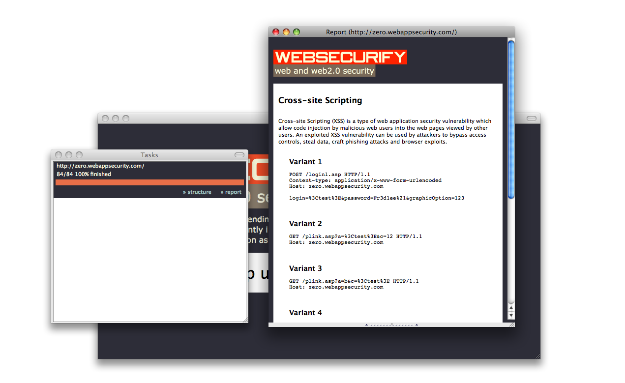 [websecurify-tool-20090801.png]