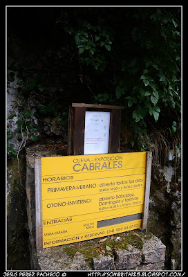 Cueva exposición queso cabrales en Arenas de Cabrales de Asturias
