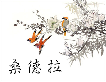 [pajaros.png]