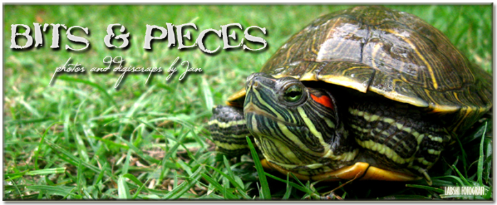bits and pieces:: photos and digiscraps by jan