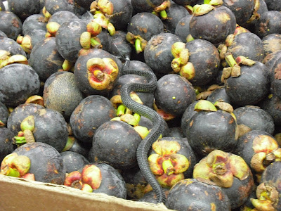 cheeky fruit