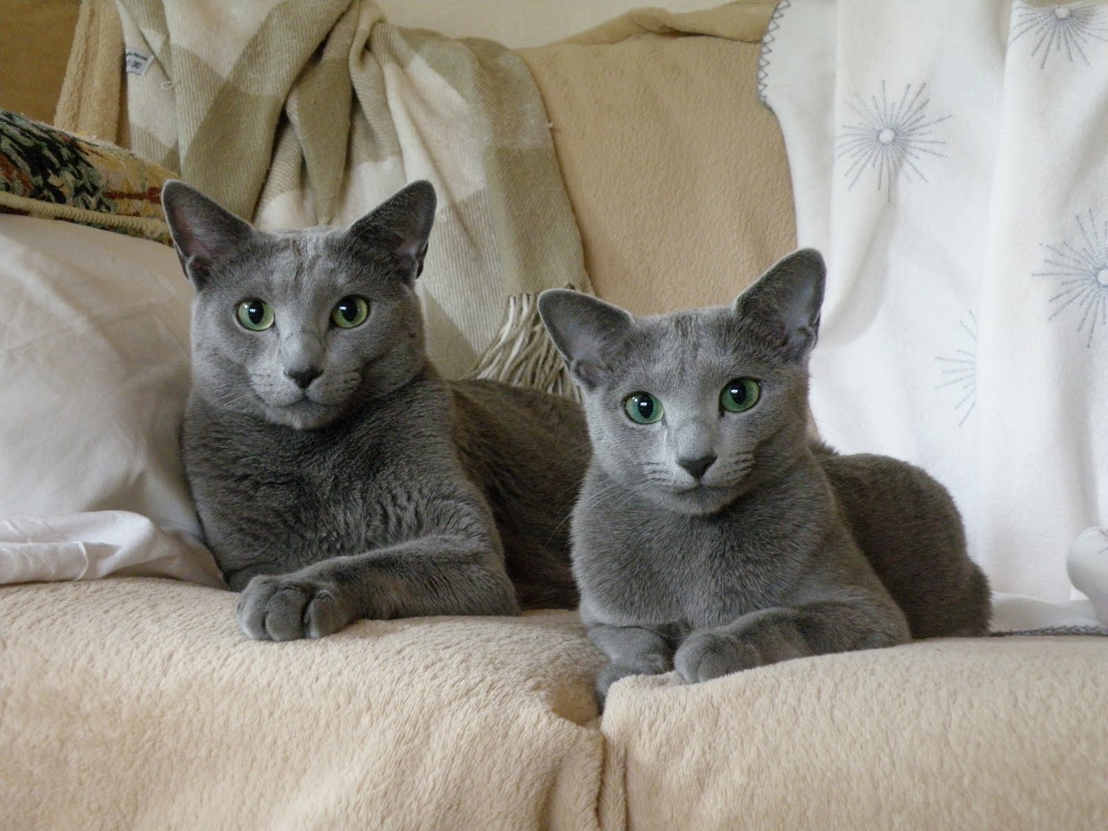 [P7201215.JPG]